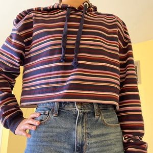 Striped Multi-Color Cropped Hoodie